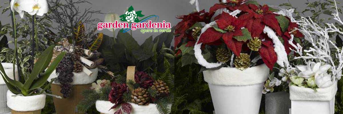 Confezioni e Idee Regalo Garden GARDENIA